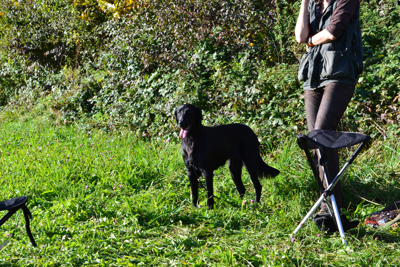 Seminar Jörg 19.10 027
